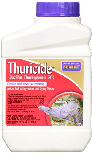 Bonide B011TCCSM0 803 Thuricide BT Insect Killer, 16-Ounce (2 Pack), 2 Pack of 16 oz, Multicolor