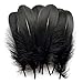Sowder Natural Goose Feathers Clothing Accessories Pack of 100(Black)
