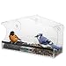 Large Premium Window Bird Feeder Squirrel Proof -3 Heavy Duty Strong Suction Cups Hooks Drain Hole Removable Tray Perch Sliding Feed 100% Clear Acrylic- Easy to Clean Great Gift for All Weather.