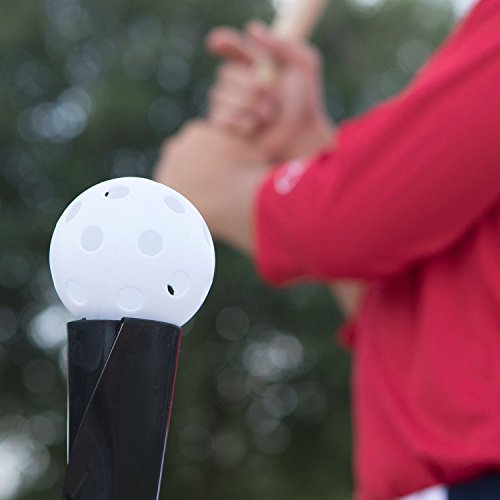 Champion Sports White Plastic Baseballs Hollow Balls for Sport