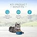 Blue Buffalo Tastefuls Mature Dry Cat Food for Adult Cats 7+, Made in the USA with Natural Ingredients, Chicken & Brown Rice Recipe, 3-lb. Bag