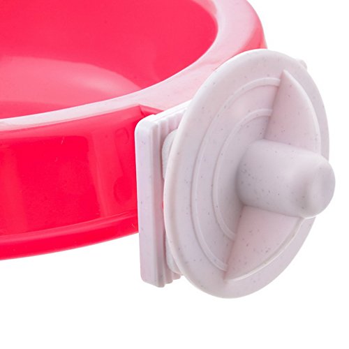 URIJK Cage Dog Bowl - Hanging Plastic Shallow Dog Bowl with Bolt Holder - Removable Water Food Feeder Bowl Dish Cage Coop Cup for Pet Cat Bird Puppy - Thumbnail 3