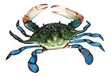 Maryland Blue Crab Beach Tiki Bar Wall Decor 6" by Charlotte International (Kitchen)