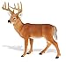 Safari Ltd. Whitetail Buck Figurine - Detailed 4.95