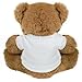 FUNNYSHIRTS.ORG Funny Bear: 8 Inch Teddy Bear Stuffed Animal