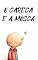 Livro O Careca e a Mosca: Coletânea Infantil das Fábulas de Esopo