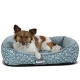 Paws & Pals Dog Bed for Pets & Cats - Printed Lounger with Self Warming Cozy Inner Cushion for Home, Crate & Travel - Small, Blue