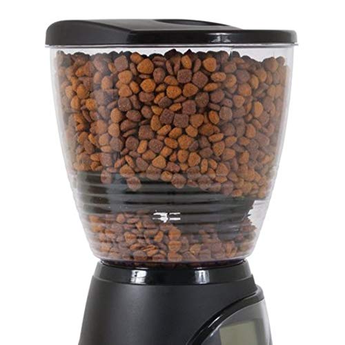 Aspen Pet Lebistro Programmable Cat And Dog Feeder 2 Sizes Black