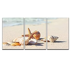 3 Piece Canvas Wall Art - Sea Shells with Sand as Background - Modern Home Art Stretched and Framed Ready to Hang - 16"x24"x3 Panels