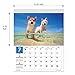 Shiba Inu Calendar 2019 with Adorable Shiba Dogs' Pictures | US Holidays & Japanese Holidays | in English | Made in Japan (Wall Calendar 2019)