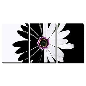 Flower Black and White x3 Panels