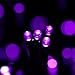 Qedertek Battery Christmas Lights, Christmas String Lights 50 LED 13.1ft Decoration Lighting with 8 Modes for Holiday, Party, Garden, Patio, Xmas, Lawn (Purple)
