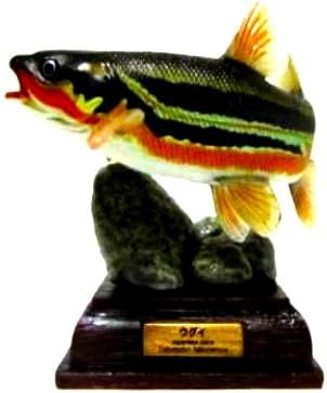 Amazon ネイチャーテクニカラー 日本の清流 特装版 ウグイ 婚姻色 単品 フィギュア ドール 通販