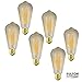 6-Pack Vintage Edison Light Bulbs, 40W E26/E27 Base Dimmable Replacement Vintage Incandescent Light Bulbs, Antique Squirrel Cage Lights, 110V, Pendant Ceiling Chandelier Antique Exposed Filament, HOM