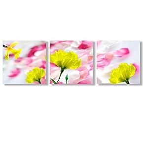 Canvas Wall Art Beautiful Flowers Collections...