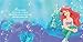What Makes a Princess ? - Hallmark Recordable Book (Disney)