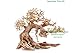Bonsai Driftwood Aquarium Tree AS random pick (6in H x 8in L) Natural, Handcrafted Fish Tank Decoration | Helps Balance Water pH Levels, Stabilizes Environments | Easy to Installthumb 2
