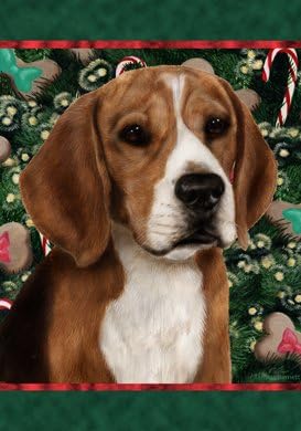 best treats for beagles