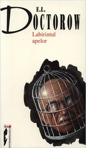 Labirintul Apelor Romanian Edition Doctorow E L 9789739876056 Amazon Com Books