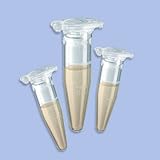 Ready-to-GO X-Gal/IPTG (1000x) 10x10mL, P05-SR04-1010