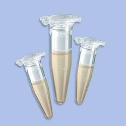 Ready-to-GO X-Gal/IPTG (1000x) 10x10mL, P05-SR04-1010