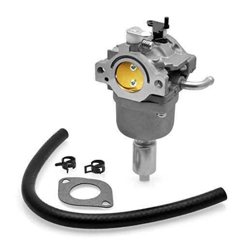 Radracing 591736 Carburetor Carb Kit Compatible 594599 794136 591736 796184 698787 699900 699521 792369 790032