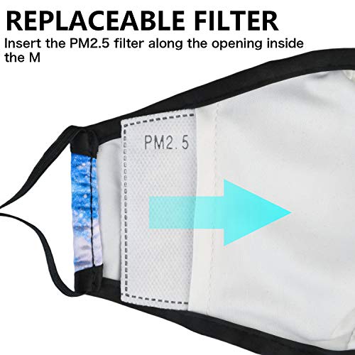 80Pcs filtros pm2.5 reemplazables filtros de carbón activado