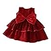 Glamulice Wine Red Baby Girl Lace Party Dress 6-12 Infant Christening Baptism Girl Dresses Pageant Birthday Formal Gown Burgundy Newborn Princess Photo Shoot Holiday Wedding Christmas Outfit Set 6M