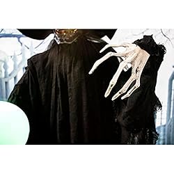 Haunted Hill Farm HHWITCH-2FL Life-Size Animated