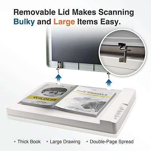 Plustek Tabloid Size Large Format Flatbed Scanner OS 1180 A3 / Legal Size Paper scan for