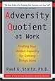 Adversity Quotient at Work: Finding Your Hidden Capacity for Getting Things Done