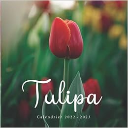 Calendrier 2023 Cadeau Amazon.fr - Tulipa Calendrier: Calendrier 2022 2023 - 8.5''X8.5'' - Cadeaux  Pour La Famille Et Les Amis - Calendrier, Amenia - Livres