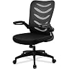 ComHoma Office Chair Ergonomic Desk Computer Chair with Flip Up Arms Lumbar Support Adjustable Swivel Mid Back for Home…
