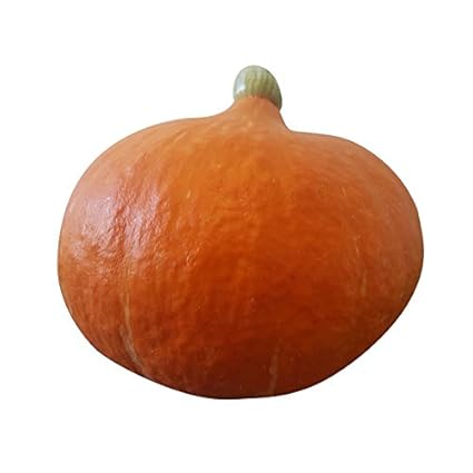 10 Hokkaidokurbisse Xxl Pack Speisekurbisse Hokkaidos Je Kurbis Ca 1 Kg Gesamt Ca 10 Kg Essbare Kurbisse Amazon De Lebensmittel Getranke