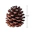 Natural Pine Cones, SOMAN 2.4 Inch Tall Real Snow Pinecones Ornaments for Christmas Decorations Set of 12