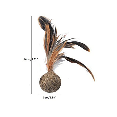 Catnip Toy Feathers Interactive Cat Toys Feather Shuttlecock Pet Cat Chewing Tease Toy