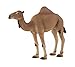MOJO Arabian Camel Realistic International Wildlife Hand Painted Toy Figurine