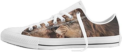 Fierce Lion Women's Sneakers Casual Canvas Shoes Solid Colors Low Top Lace Up Flat Fashion For Unisex