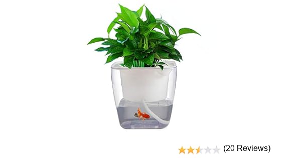 Maceta de riego automático, jardín, sistema de cultivo hidropónico ...