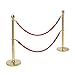 2 pcs Red Velvet Stanchion Rope, 5 Feet Crowd Control Safety Barriers with Polished Gold Hooks, Thick Stanchion Queue Barrier Rope for Carpet Events Movie Theaters Grand Openings