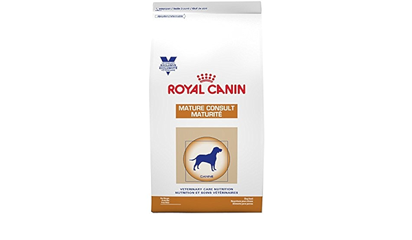 royal canin senior consult dog