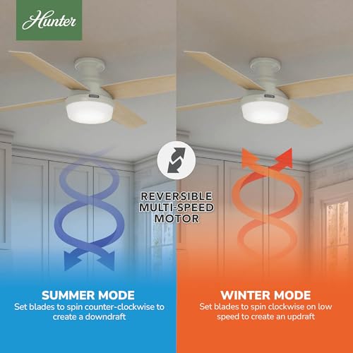 Hunter 59242 Contemporary Modern 52``Ceiling Fan from Dempsey Collection in White Finish,