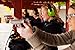 HEARTEK Hearing Protection Noise Cancelling Ear Muffs, Shooting Ear Protection