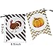 JOYIN Thanksgiving Party Decoration Set Including 4 Decor Friends, 1 Banner Hanging Garland, 6 Foil Swirls with Decorative Hanging Cutouts, 6 Double Thread Foil Swirls for Thanksgiving Holiday Decor