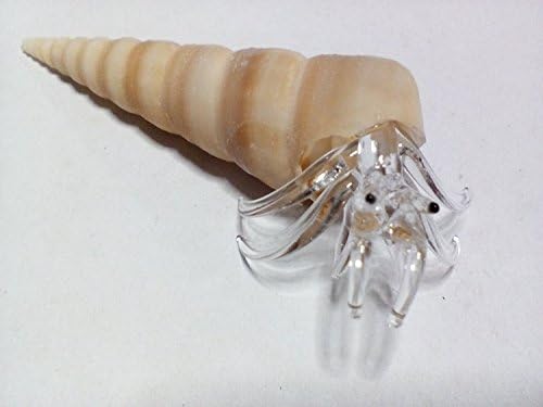 Pakdeevong shop Nice handmade glass blowing hermit crab : Muriciade