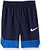 Nike Boy's Icon Basketball Shorts