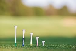 PrideSports PTS Wood Golf Tees | 120 Count, 2-1/8