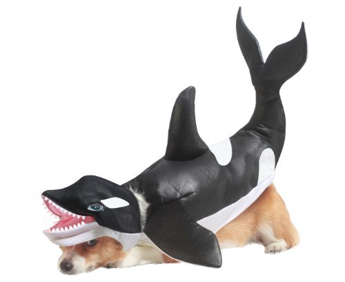Animal Planet Orca Dog Costume, Small, Black/White