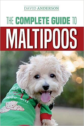 maltipoo potty training