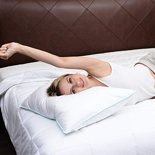 Homelike Moment Down Feather Pillows King 2 Pack Feather Bed Pillows